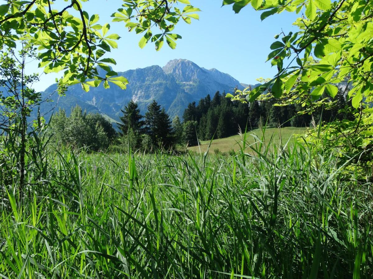 Ferienwohnung Andexlinger Abtenau Esterno foto